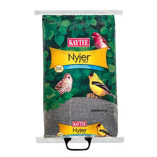 Kaytee Products Kaytee Nyjer Songbird Nyger Thistle Seed Wild Bird Food 20 lb 100033693 - main